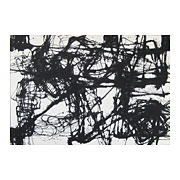 #29, 2009
