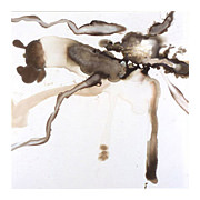 Feeder, 2003