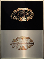 Suspended Leaf Diptych, 2010–15