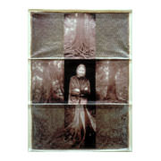 Old Growth Tapestry, 2000-01